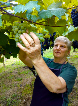 Caxias da Zoeira - Finca chimia, sacramento!